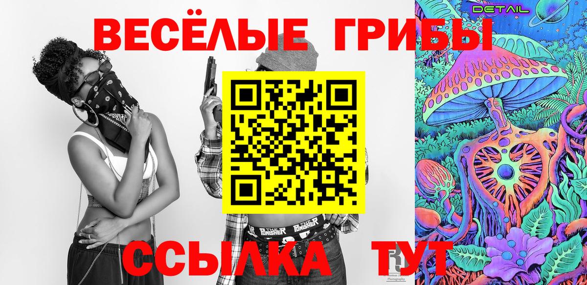 Борзя  Псилоцибиновые грибы прущие грибы  Вход с VPN  Галлюциногенные грибы Psilocybine cubensis 